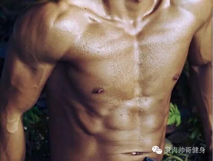 【帅哥】人鱼线肌肉帅哥,健身带来的魅力,今天你健身了吗(组图) - 9
