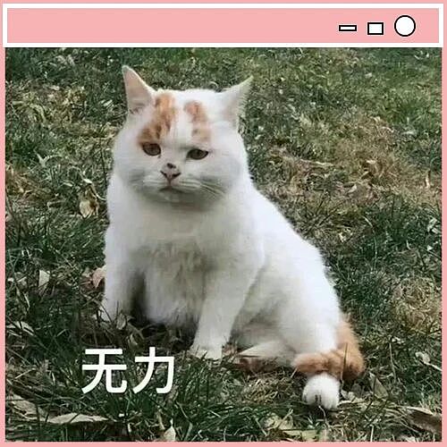 【爆笑】刚和男友订婚就得知他妈妈怀孕了?啊啊啊这孩子到底是谁的(组图) - 1