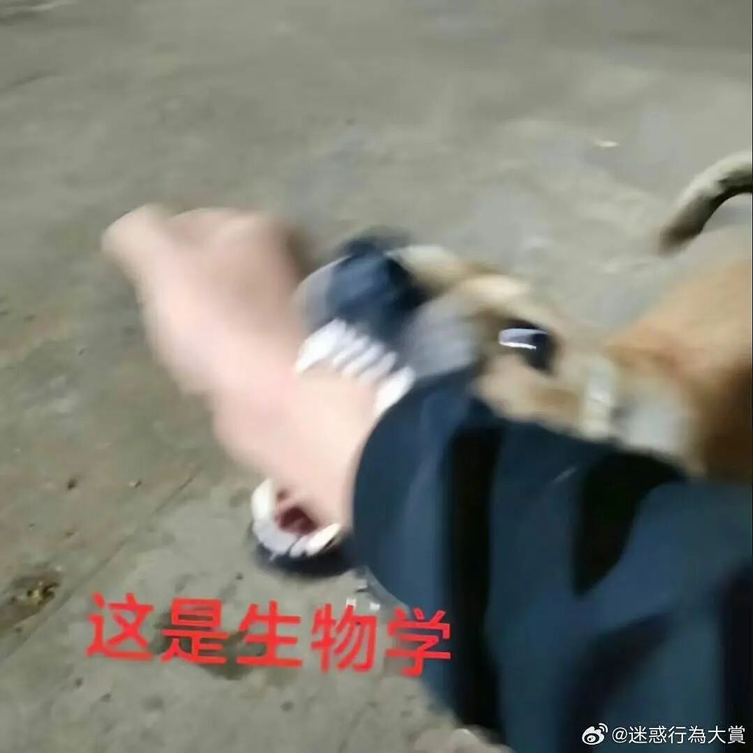 【爆笑】当留子网购想贪点小便宜时…？啊啊啊评论区教训让人太深刻了（组图） - 48
