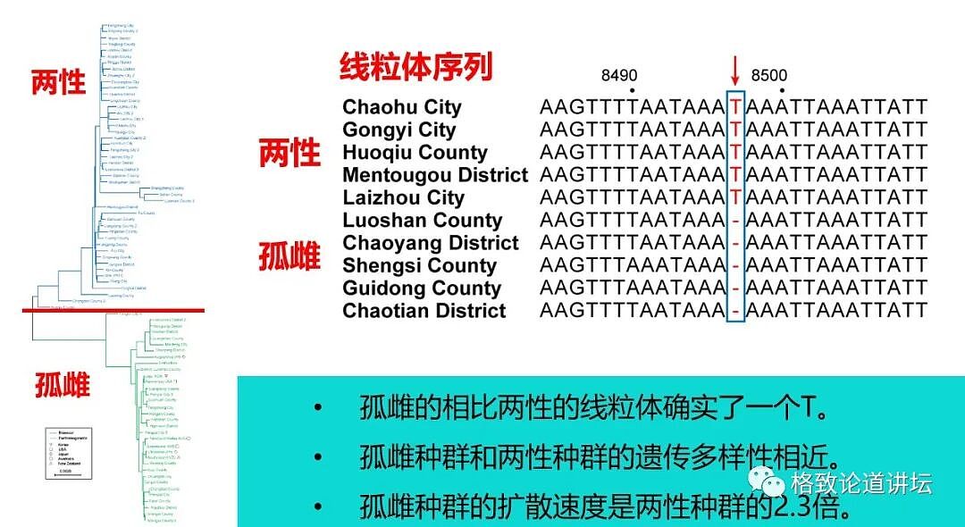 这种潜伏在我们身边的“吸血鬼”一生只吃三顿饭，但一顿就可能要人命（组图） - 11