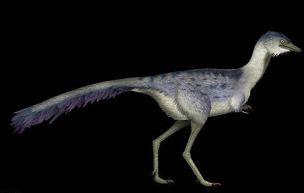 科学家在阿根廷发现一枚7000万年前恐龙蛋,保存完好,宛如昨日刚被产下(组图) - 3