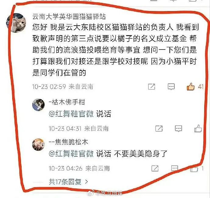 道歉咋还越搞越糟?红舞鞋剧组撞死校猫后辞退司机想了事,反而爆出更多黑料,口碑难保(组图) - 8