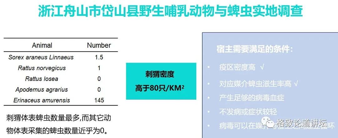 这种潜伏在我们身边的“吸血鬼”一生只吃三顿饭，但一顿就可能要人命（组图） - 16