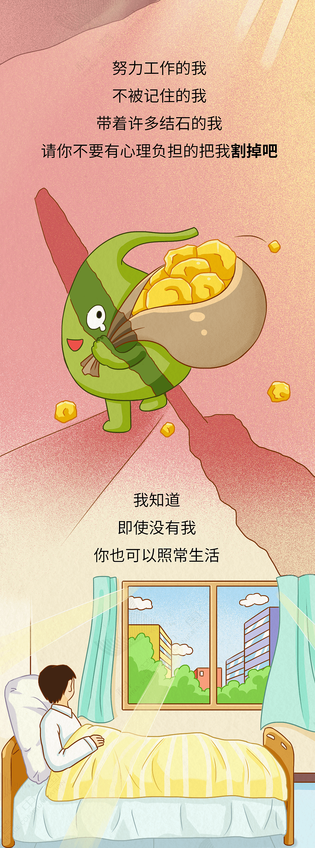 胆就是这样一步步长出结石,而不得不被割掉的(组图) - 11