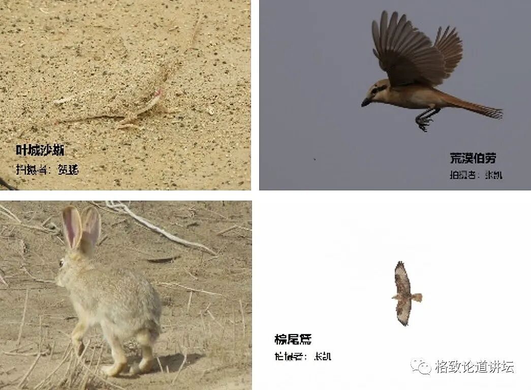 这种潜伏在我们身边的“吸血鬼”一生只吃三顿饭，但一顿就可能要人命（组图） - 6