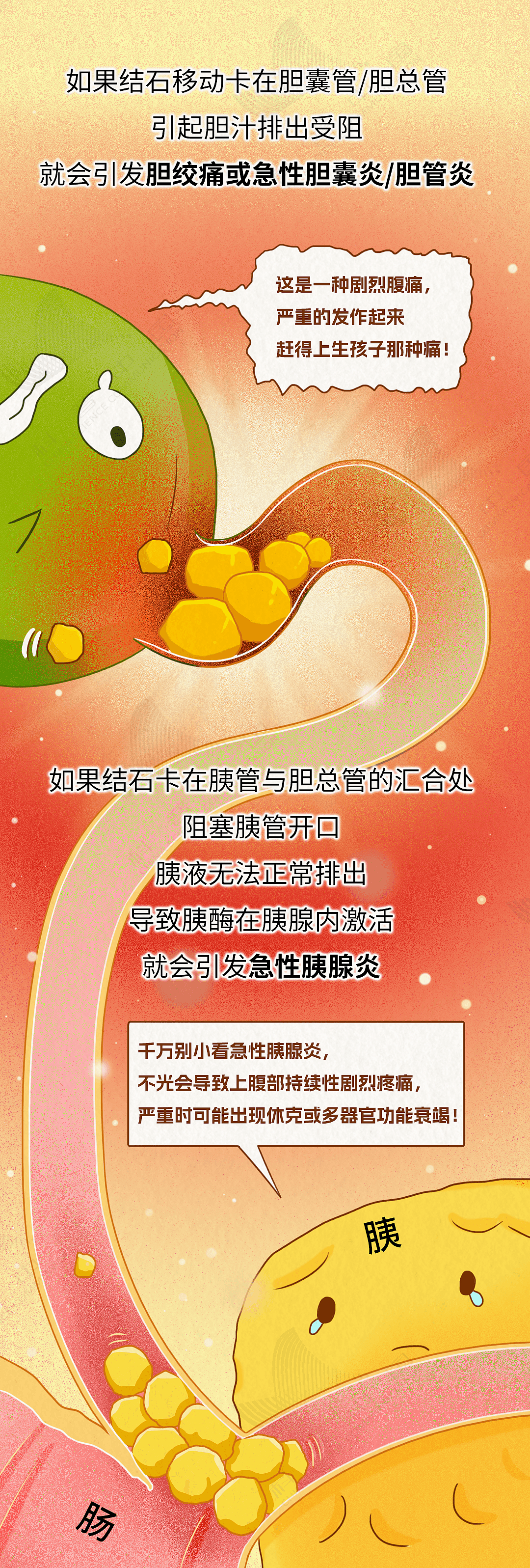 胆就是这样一步步长出结石,而不得不被割掉的(组图) - 9