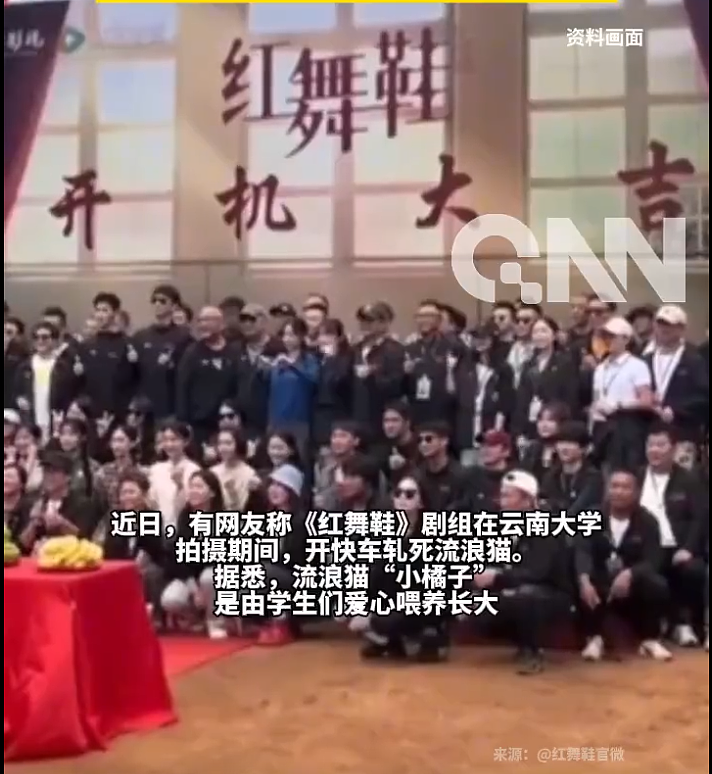 道歉咋还越搞越糟?红舞鞋剧组撞死校猫后辞退司机想了事,反而爆出更多黑料,口碑难保(组图) - 1