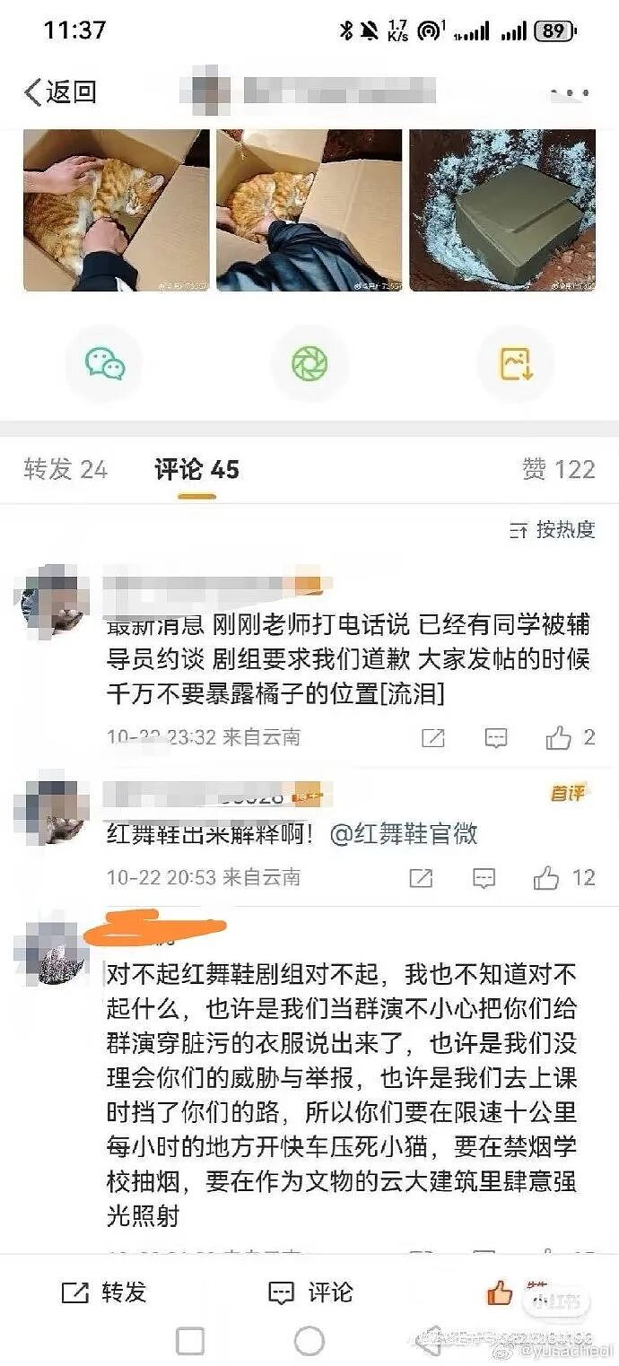 道歉咋还越搞越糟?红舞鞋剧组撞死校猫后辞退司机想了事,反而爆出更多黑料,口碑难保(组图) - 10
