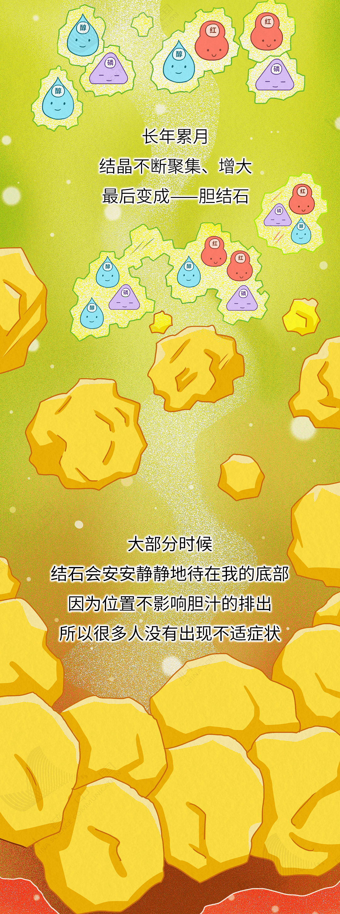胆就是这样一步步长出结石,而不得不被割掉的(组图) - 7