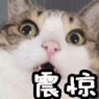 这4种蔬菜被列入“致癌清单”,还能吃吗?真正要少吃的是它们(组图) - 14