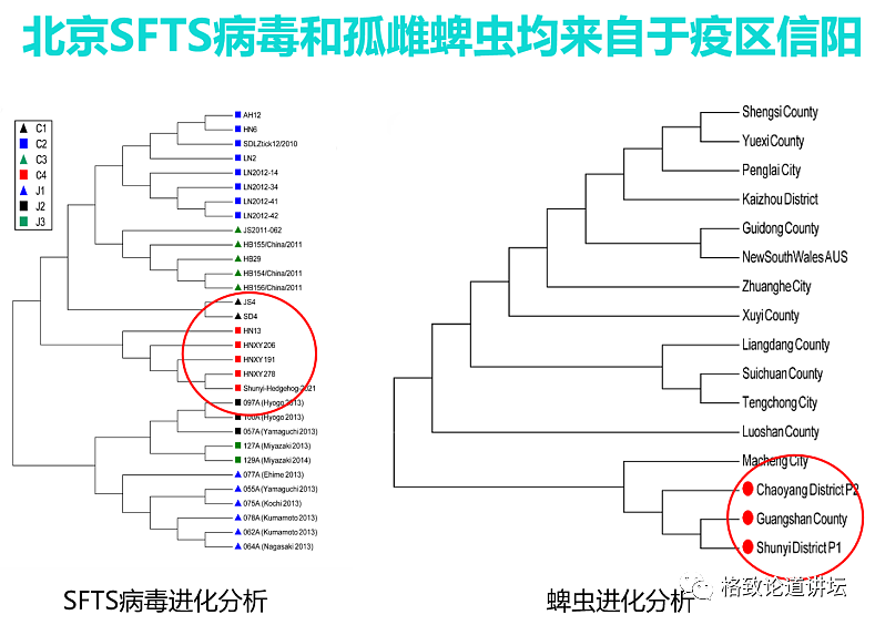 这种潜伏在我们身边的“吸血鬼”一生只吃三顿饭，但一顿就可能要人命（组图） - 20