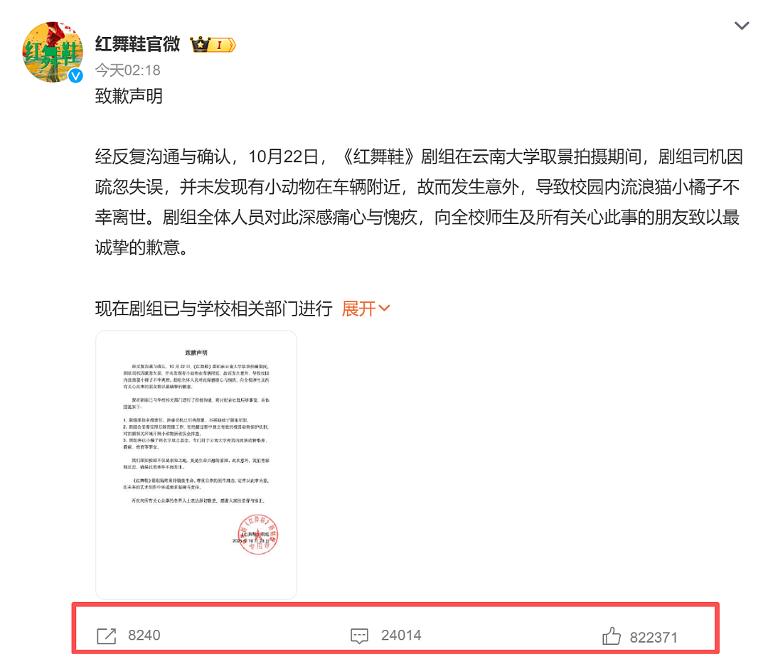 道歉咋还越搞越糟?红舞鞋剧组撞死校猫后辞退司机想了事,反而爆出更多黑料,口碑难保(组图) - 5