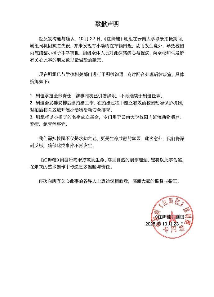 道歉咋还越搞越糟?红舞鞋剧组撞死校猫后辞退司机想了事,反而爆出更多黑料,口碑难保(组图) - 6