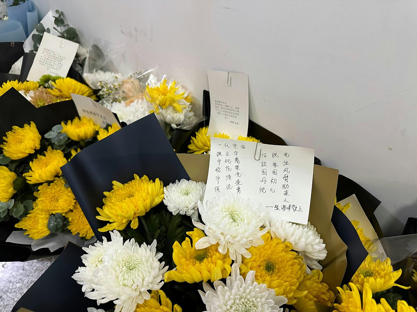 杨振宁遗体告别仪式在北京举行,社会各界自发前往送别(组图) - 5