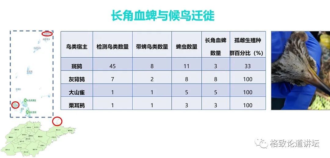 这种潜伏在我们身边的“吸血鬼”一生只吃三顿饭，但一顿就可能要人命（组图） - 12