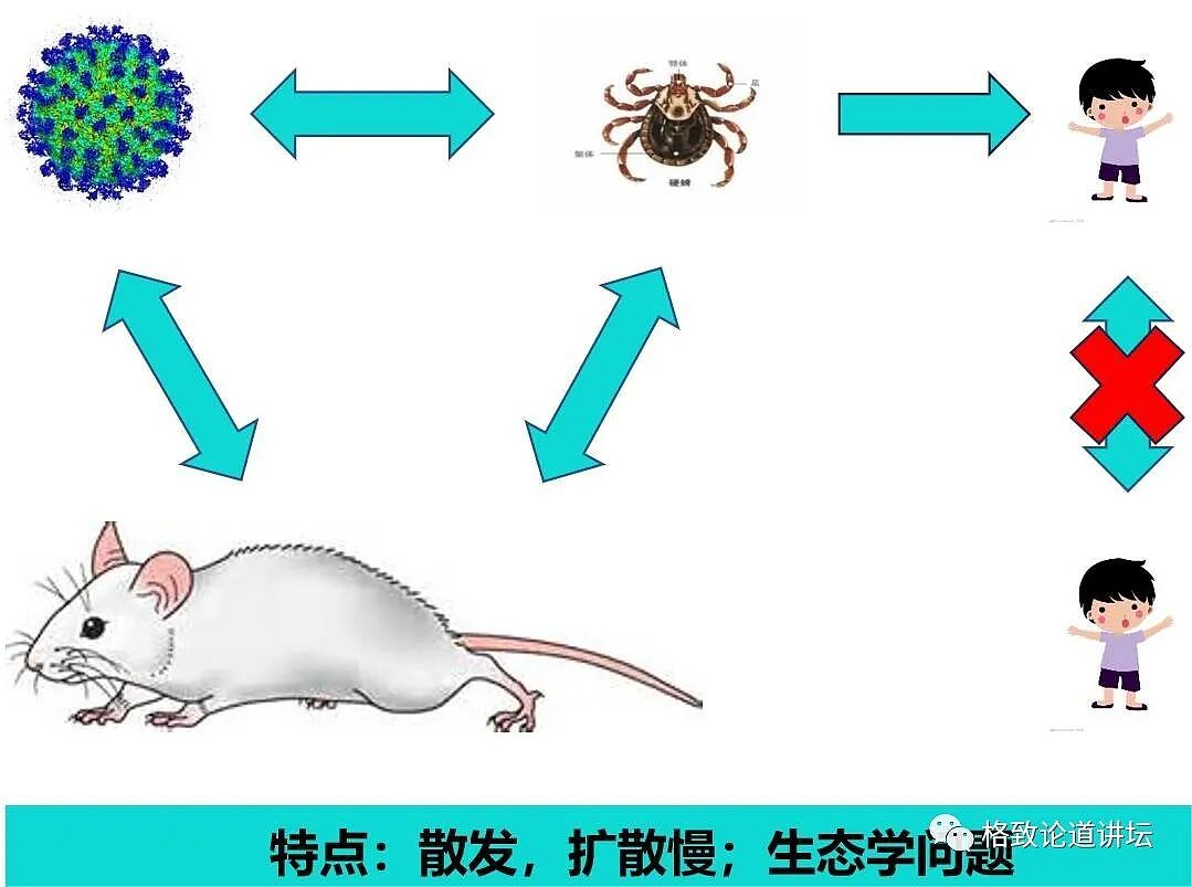 这种潜伏在我们身边的“吸血鬼”一生只吃三顿饭，但一顿就可能要人命（组图） - 9