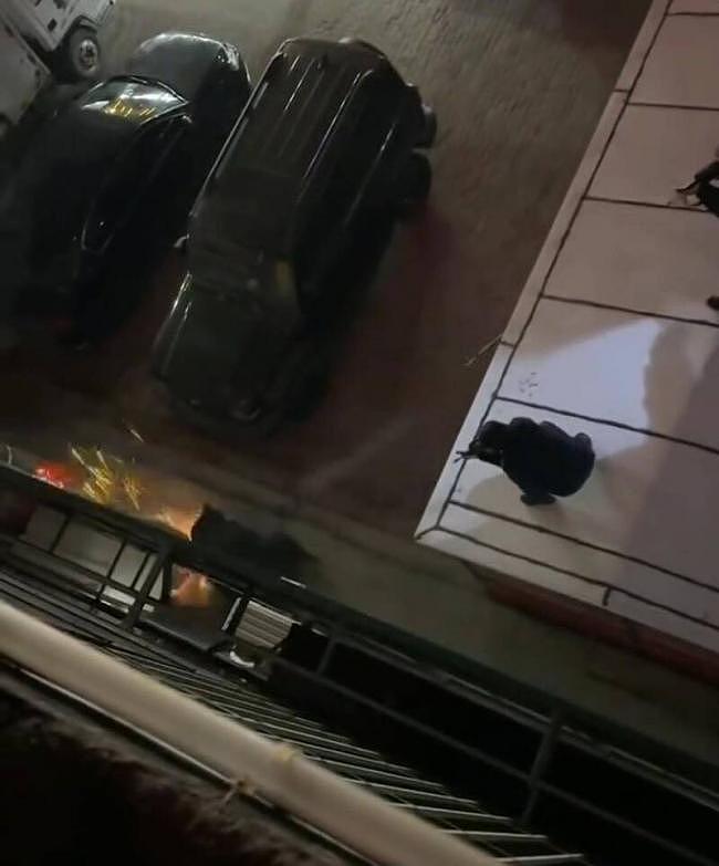 黑熊夜闯中国闹区,遭警连开10多枪击毙(组图) - 2