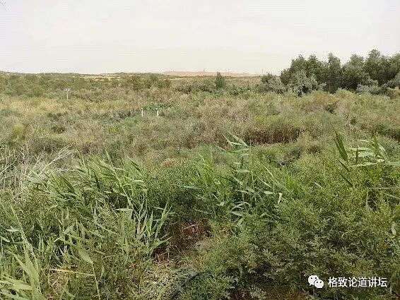 这种潜伏在我们身边的“吸血鬼”一生只吃三顿饭，但一顿就可能要人命（组图） - 5