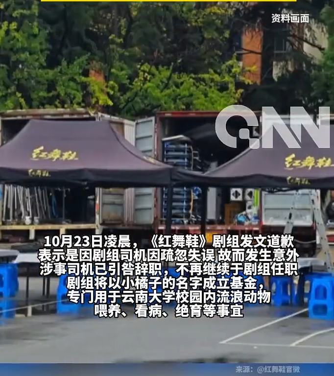道歉咋还越搞越糟?红舞鞋剧组撞死校猫后辞退司机想了事,反而爆出更多黑料,口碑难保(组图) - 7