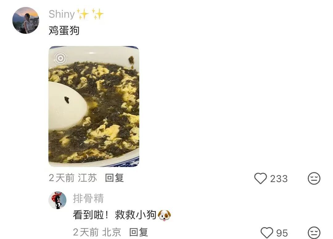 【爆笑】“狗达太厉害了是种什么体验？” 哈哈哈哈哈哈哈哈被网友评论可爱到了（组图） - 11