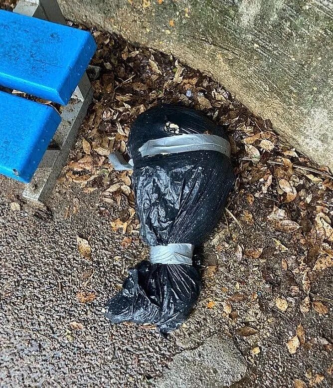 女子树下躲雨，树杈上掉下一条断腿？！见证英国最可怕谋杀，她PTSD了...（组图） - 2