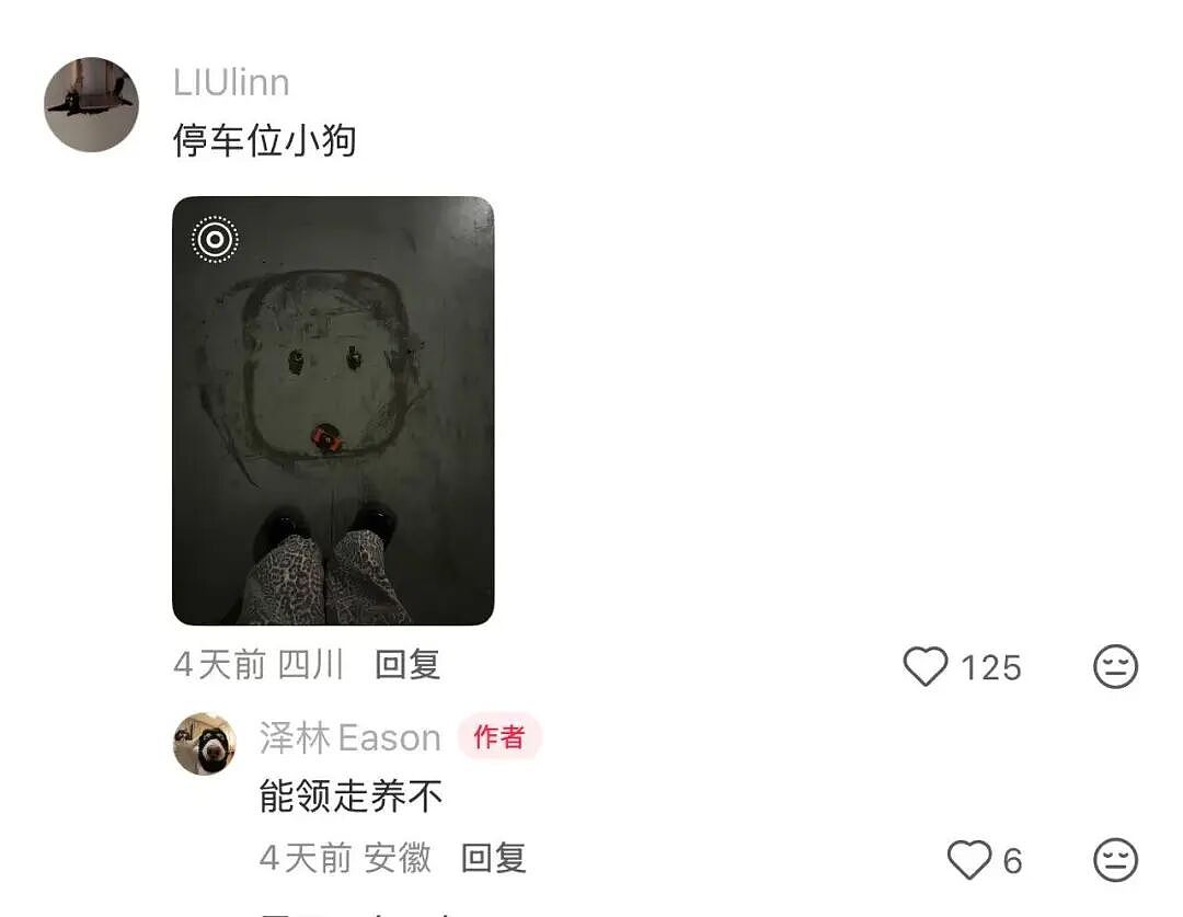 【爆笑】“狗达太厉害了是种什么体验？” 哈哈哈哈哈哈哈哈被网友评论可爱到了（组图） - 10