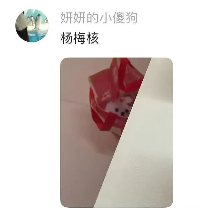 【爆笑】“狗达太厉害了是种什么体验？” 哈哈哈哈哈哈哈哈被网友评论可爱到了（组图） - 9
