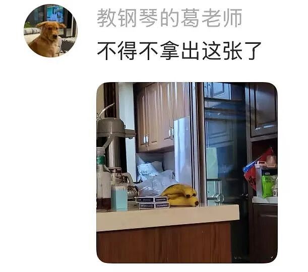 【爆笑】“狗达太厉害了是种什么体验？” 哈哈哈哈哈哈哈哈被网友评论可爱到了（组图） - 8