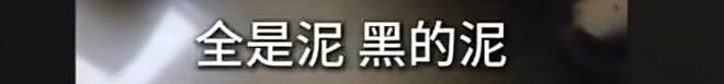 “实在走投无路了”，真金白银买到臭房！业主崩溃了：臭得要死，这房子我不想要了（组图） - 6