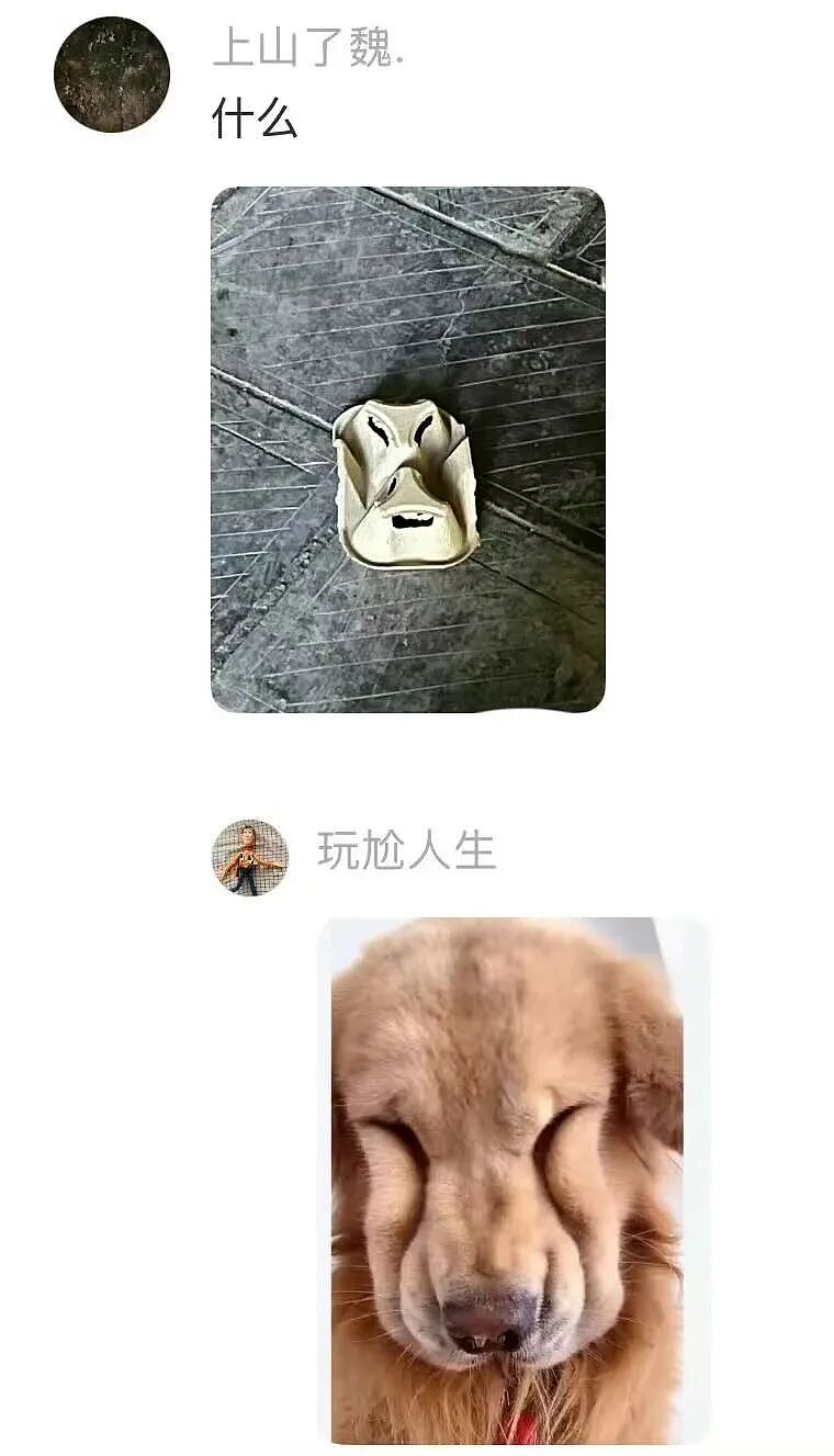 【爆笑】“狗达太厉害了是种什么体验？” 哈哈哈哈哈哈哈哈被网友评论可爱到了（组图） - 7