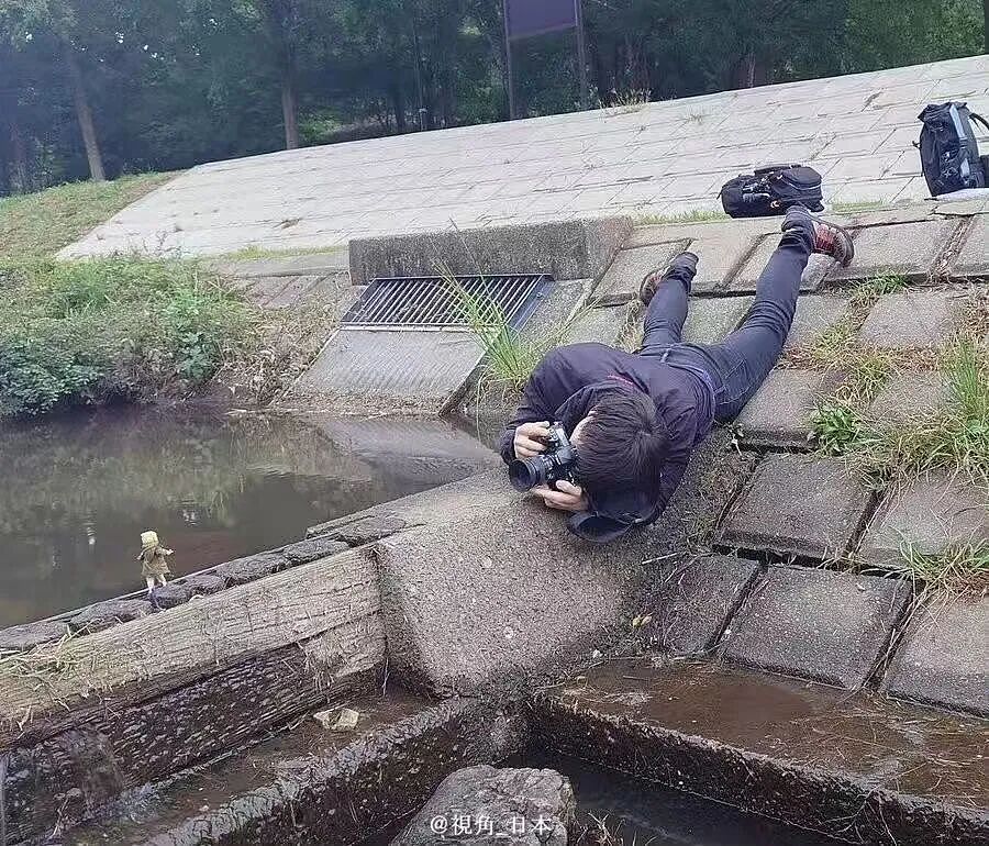 【爆笑】“狗达太厉害了是种什么体验？” 哈哈哈哈哈哈哈哈被网友评论可爱到了（组图） - 64