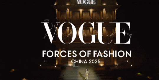 昨晚抓马到爆的VOGUE 盛典,被刘亦菲一张生图给救了……(组图) - 13