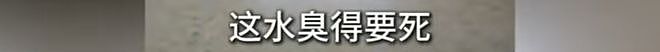 “实在走投无路了”，真金白银买到臭房！业主崩溃了：臭得要死，这房子我不想要了（组图） - 4