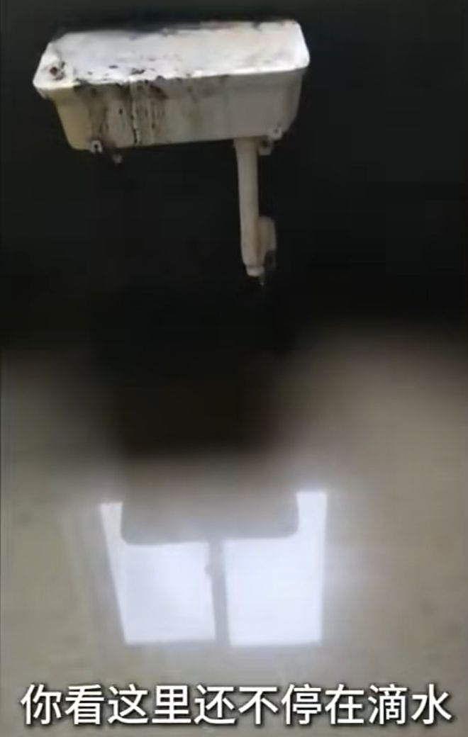 “实在走投无路了”，真金白银买到臭房！业主崩溃了：臭得要死，这房子我不想要了（组图） - 5