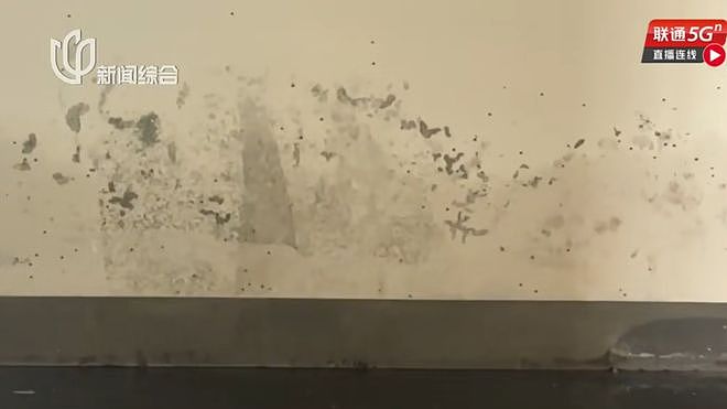 “实在走投无路了”，真金白银买到臭房！业主崩溃了：臭得要死，这房子我不想要了（组图） - 13