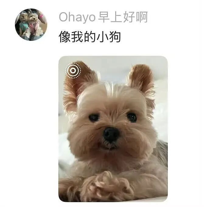 【爆笑】“狗达太厉害了是种什么体验？” 哈哈哈哈哈哈哈哈被网友评论可爱到了（组图） - 6