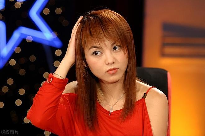 被群嘲身材的李湘：年轻时吃尽颜值红利，但成为富婆靠的还是脑子（组图） - 10