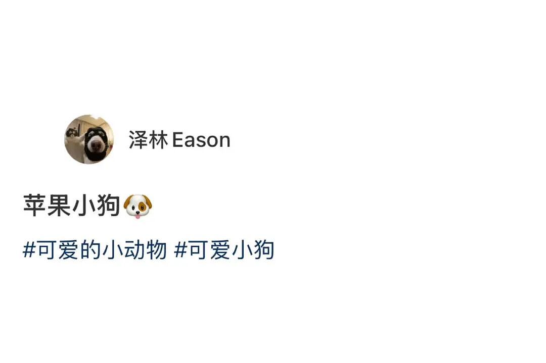 【爆笑】“狗达太厉害了是种什么体验？” 哈哈哈哈哈哈哈哈被网友评论可爱到了（组图） - 4