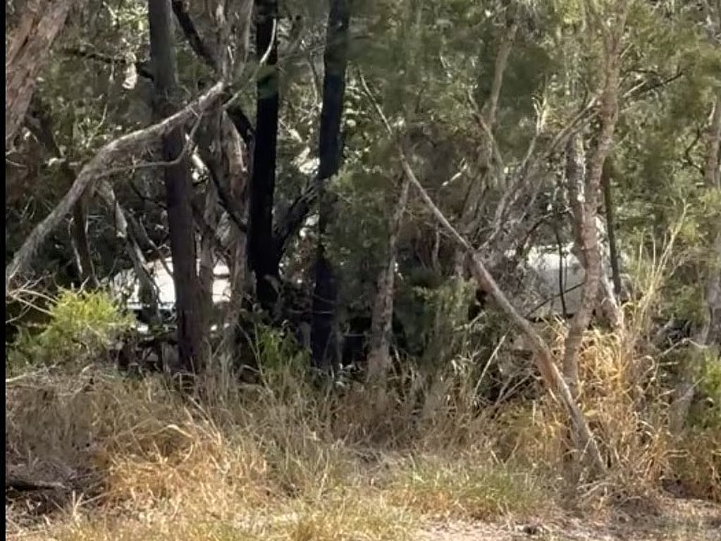 布里斯班惨烈车祸，1幼童不幸身亡！事故原因扑朔迷离，或涉及家暴（组图） - 4