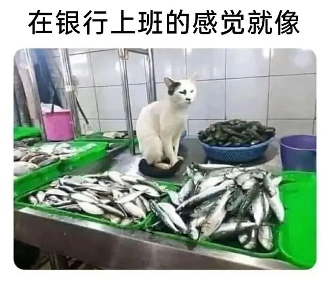 【爆笑】“当霸总遇上超绝婴儿手......” 哈哈哈哈哈哈性缩力满满啊(组图) - 27