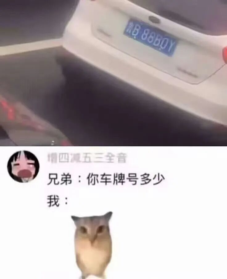 【爆笑】“狗达太厉害了是种什么体验？” 哈哈哈哈哈哈哈哈被网友评论可爱到了（组图） - 57