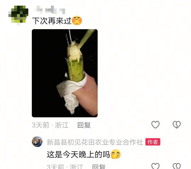 浙江“可偷甘蔗地”成热点，上百人深夜体验，地主：已收偷款6000（组图） - 1