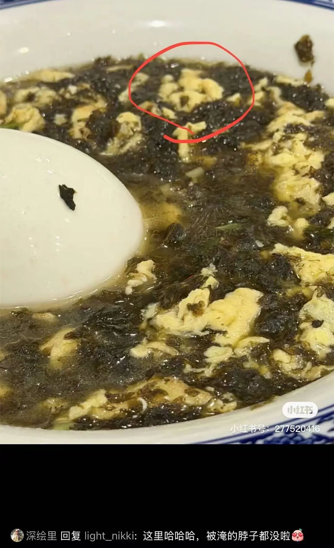 【爆笑】“狗达太厉害了是种什么体验？” 哈哈哈哈哈哈哈哈被网友评论可爱到了（组图） - 12