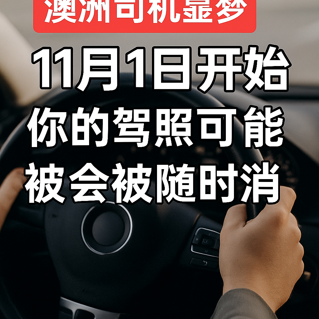 澳洲司机注意!11月1日起新规生效(组图) - 1