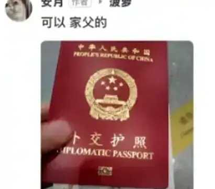 又一条“北极鲶鱼”?她炫家产十亿、晒外交护照,还说“公务员安排进体制根本不用考”(组图) - 2
