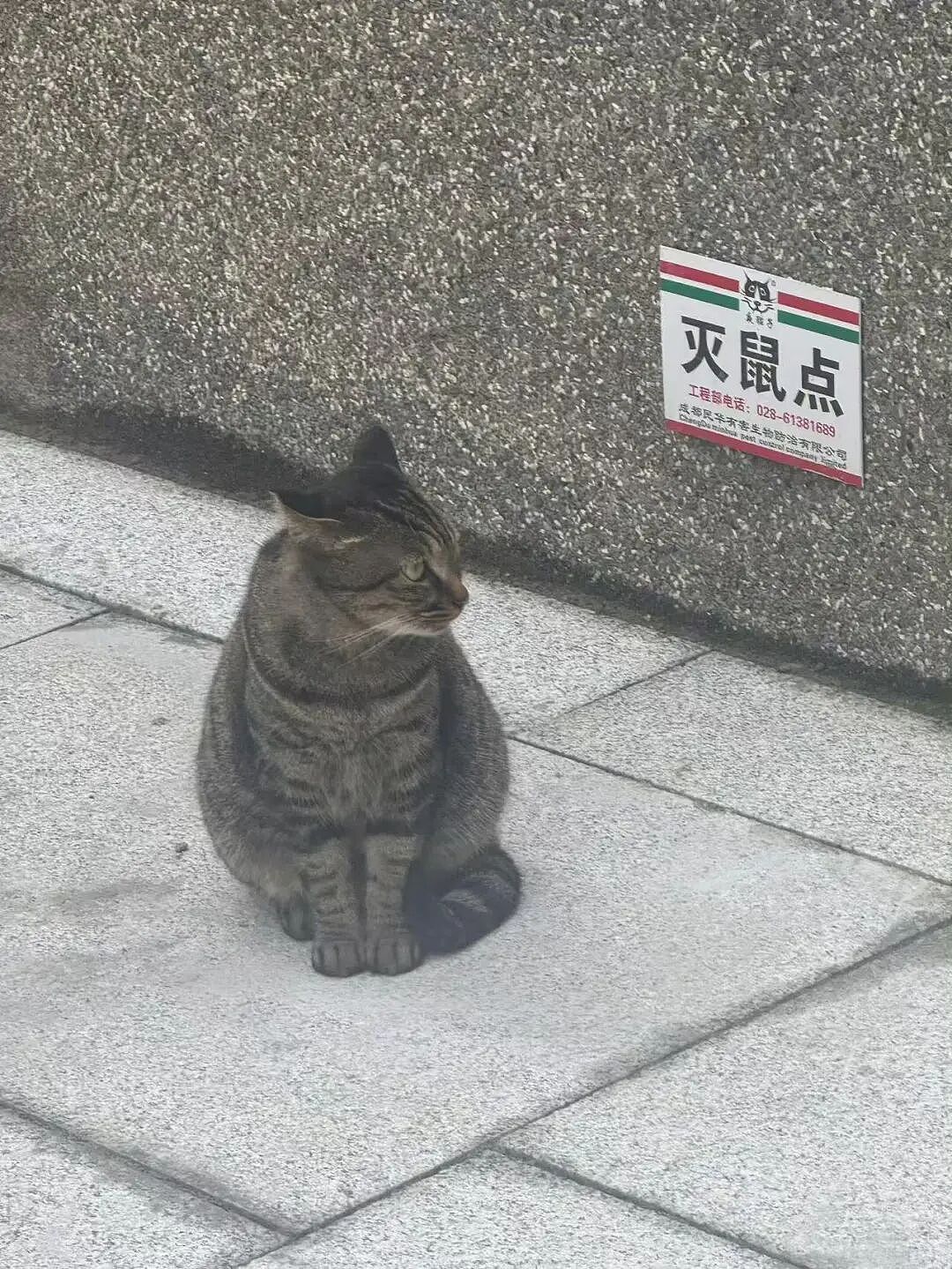 【爆笑】“在大厂工作感觉自己像被包养了?”啊啊啊娇牛马与娇妻文学合二为一集大成之作!(组图) - 32