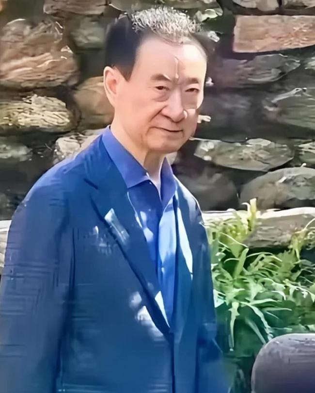 潘石屹美国买地，王健林暴瘦还债，差距太扎心（组图） - 1