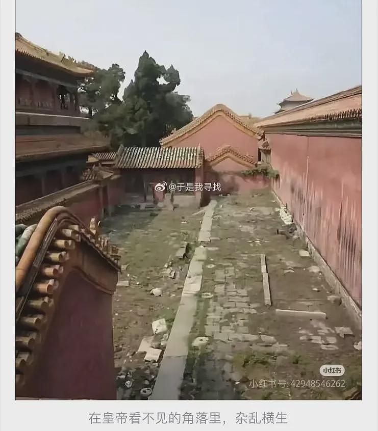 好脏好乱好多老鼠，百年前照片曝故宫真相（组图） - 12