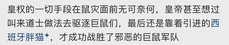 好脏好乱好多老鼠，百年前照片曝故宫真相（组图） - 5