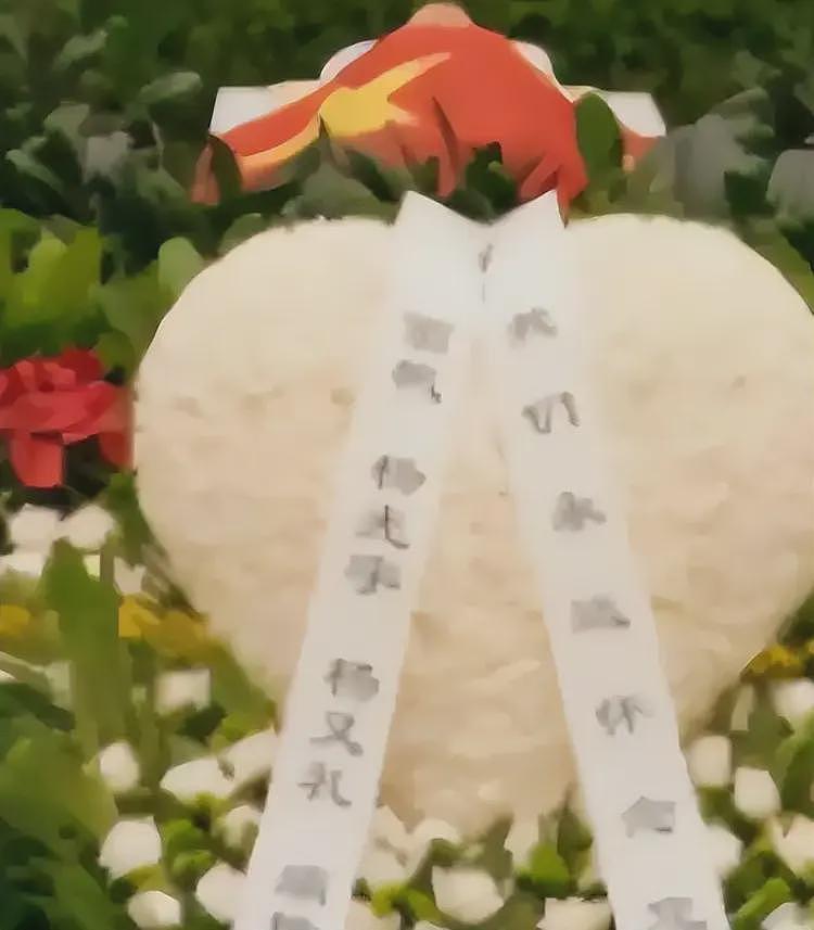 外媒证实杨振宁大儿子已经去世，去年12月死在国外家中，死因曝光（组图） - 3